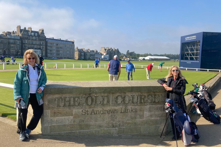 Elena Salgado et al. that are standing in the grass