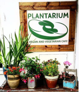 a vase of flowers sits in front of a sign