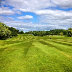 a large green field with trees in the background